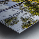 Mount Perry Metal print