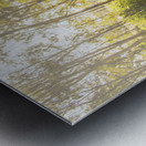 Nature Lovers Lane Metal print