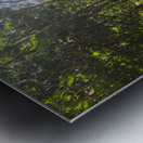 Green Wilds Metal print