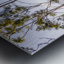 Heartland of Gold Metal print