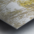 Wilderness Way Metal print