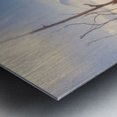 Misty Horizons Metal print