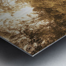 Autumn Wander Metal print