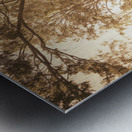 Through Fall Metal print