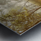 Bushland Backroad Metal print