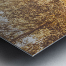 Wooded Trails Metal print