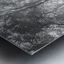 Inland Interplay Metal print