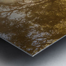 Sunflares And Foliage Metal print