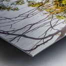 Golden views Metal print