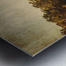 Wild Old Ways Metal print