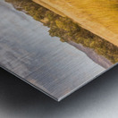 In The Outbacks Metal print