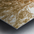 Bucolic Backroad Metal print