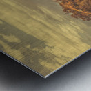 Wind And Fall Fields Metal print