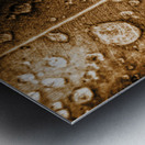 Fall In Rain Metal print