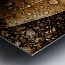 Autumn Rains Metal print