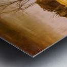 Weatherly Charm Metal print