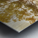 Gin Gin Golden Glow Metal print