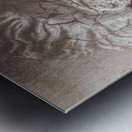 Beauty Never Fades Metal print