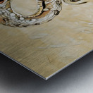 Desert Sun Serpent Metal print