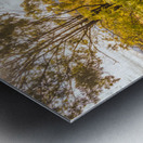 Valley Views Metal print