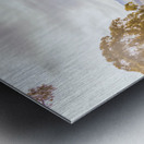 Queensland Country Metal print