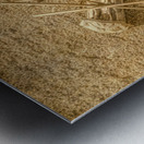 Match Sticks Metal print