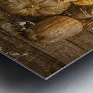 Country Bumpkins Metal print