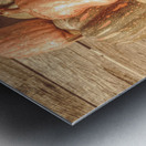 Gourd Almighty Metal print