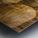 Squash Signboard Metal print