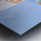 Finger Puppets Metal print