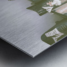 Storybook Imaginations Metal print