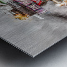 A Novel Escape Metal print