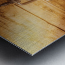 Thirst Light Metal print