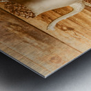 Coffee Bean Antiquity Metal print