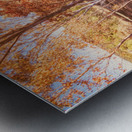 Road Outback Metal print