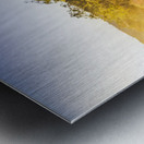 Country Clearing  Metal print