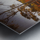 Rural Reds Metal print