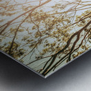 Valley Ridge Road Metal print