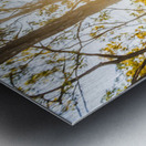 Wooded Light Metal print