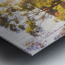 Flares And Fades Metal print