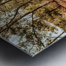 Upcountry Ridgeline Metal print