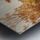 Sunflare Thoroughfare  Metal print