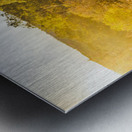 Awash In Sundown Metal print