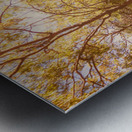 Afternoons Afterglow Metal print