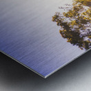 Sunflare Valley Views Metal print