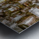 Stowaways Metal print