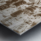 Collectipples Metal print