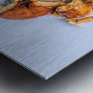 Party Puppets  Metal print