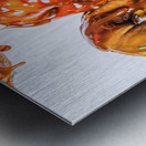 Usyruped Metal print