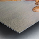 Donut Duo Metal print